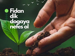 TLE Yazılım'dan İzmir ve Hatay'a Fidan Bağışı