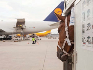Lufthansa Entegre Ulaşıma Odaklandı