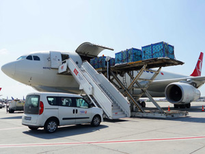 Türk Kirazı Turkish Cargo İle Taşınıyor