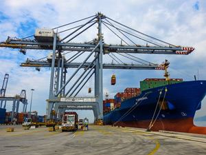 ZIM Line DP World Yarımca'yı Seçti