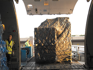 Trade War Impacting Air Freight Demand