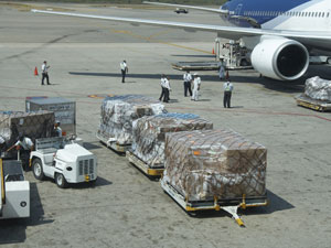 Air Cargo Capacity Crunch: Demand Plummets but Capacity Disappears Even Faster