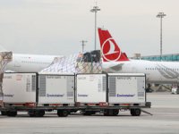 Turkish Cargo 2021 Yılında 61 Ülkeye 335 Milyon Doz Kovid_19 Aşısı Taşıdı