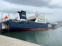 DFDS’in 100. Yıl Logolu Gemilerine İlgi Yoğun