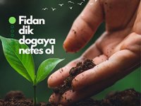 TLE Yazılım'dan İzmir ve Hatay'a Fidan Bağışı