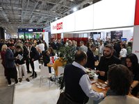 Karayolu Lojistiği: Küresel Ticaret ve Ekonominin Omurgası