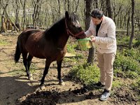 Ekol Lojistik Doğayı Koruma Projesi ile 9 Milyon Can Dostuna Ulaştı