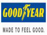 Goodyear 2014 Yılı ‘Avrupa’nın En İyi İşvereni Ödülü’ nün Sahibi Oldu