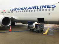 Turkish Cargo, Yavru Aslanları ve Penguenleri Yeni Yuvalarına Taşıdı