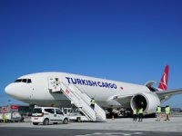 Turkish Cargo 2019’un İlk Çeyreğinde Büyümeyi Sürdürdü