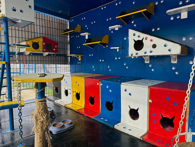 Ekol Lojistik Doğayı Koruma Projesi ile 9 Milyon Can Dostuna Ulaştı