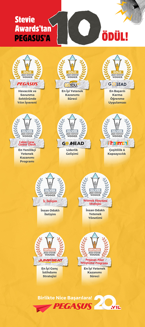 pegasus-stevie-awards-2025.jpg