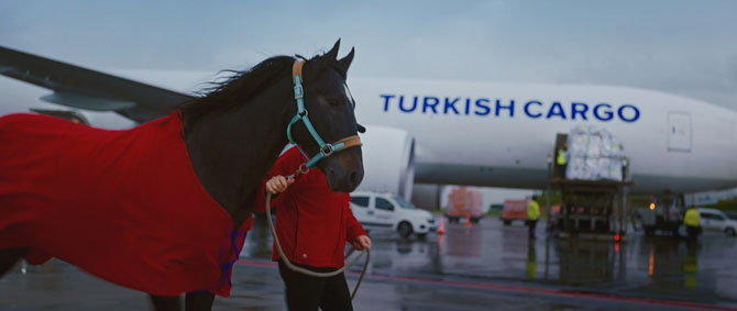 Turkish Cargo Türkiye’nin İhracatına Değer Katıyor