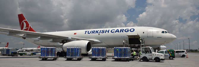 turkish-cargo1.jpg